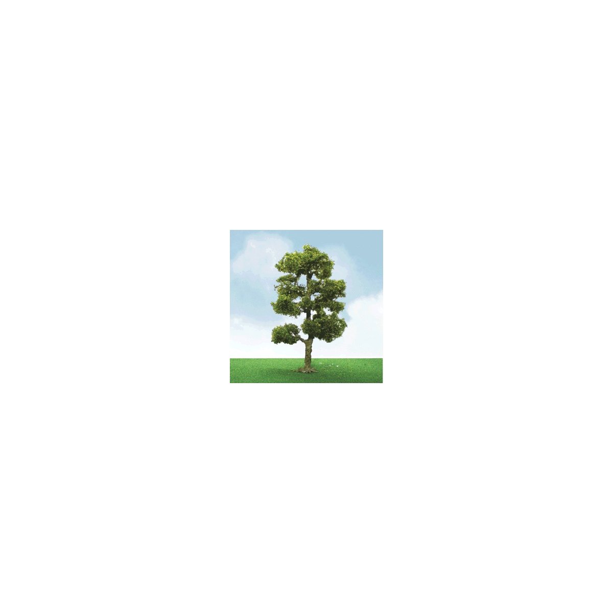 Downy Birch Trees - Pro Elite -- 6′ 15.2cm, O, JTT Miniature Tree 92406