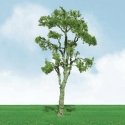 Gum Trees - Pro Elite -- 2 - 2-1/4′ 5.1 - 5.7cm pkg(3), N, JTT Miniature Tree 92211