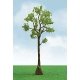 Pro-Elite Series Tree -- Cypress 5 to 5-1/2′ 12.7 to 14cm Tall pkg(2), HO, JTT Miniature Tree 92316