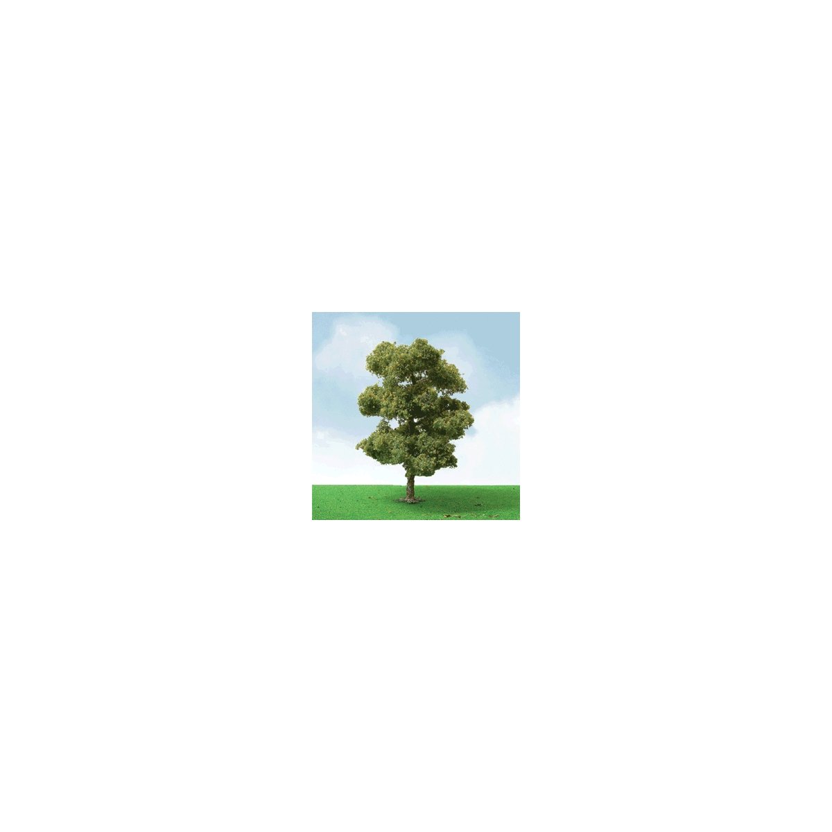 European Plane Trees - Pro Elite -- 6′ 15.2cm, O, JTT Miniature Tree 92407
