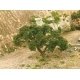 Hardwood Tree -- 2 to 3′ 5.1 to 7.6cm pkg(3), All Scales, Grand Central Scenery T28