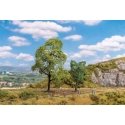 Hornbeam and Sycamore Maple Trees -- 1 of Each, HO, Faller Gmbh 181800
