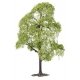 Hornbeam and Sycamore Maple Trees -- 1 of Each, HO, Faller Gmbh 181800