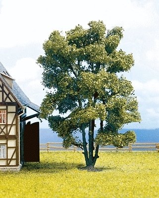 Trees -- Acacia Muli-Trunk - 15 cm, HO, Noch Gmbh & Co 21660