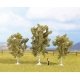 Multi-Tree Packs -- Birch 3-1/8 to 3-15/16′ 8 to 10cm pkg(3), HO, Noch Gmbh & Co 25120