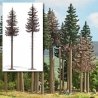 Dead Spruce Trees -- 18 & 19cm Tall pkg(2), All Scales, Busch Gmbh & Co Kg 6168