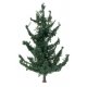 Fir Tree, All Scales, Faller Gmbh 181702