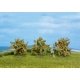 Orange Trees -- 1-9/16′ 4cm Tall pkg(3), All Scales, Noch Gmbh & Co 25114