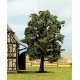 Beech Tree - 5 1/8′, All Scales, Noch Gmbh & Co 21690