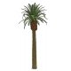 Professional Series Phoenix Palm Tree -- 8′ 20.3cm Tall, O, JTT Miniature Tree 96045