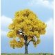 Ready Made Premium Trees(TM) - Deciduous -- Fall Beech - 4′ 10.2cm, All Scales, Woodland Scenics 1613
