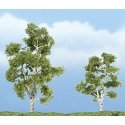 Ready Made Premium Trees(TM) - Deciduous -- Sycamore - 1 Each 2-7/8 & 2-3/8′ 7.3 & 6cm, All Scales, Woodland Scenics 1603