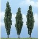 Ready Made Premium Trees(TM) - Deciduous -- Poplar - 1 Each 3-1/2, 4 & 4-1/2′ 8.9, 10.2, All Scales, Woodland Scenics 1611