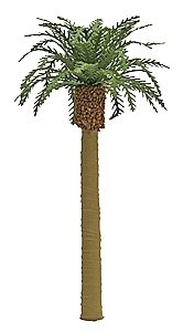 Professional Series Phoenix Palm Tree -- 6′ 15.2cm Tall, O, JTT Miniature Tree 96044