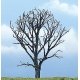 Ready Made Premium Trees(TM) - Deciduous -- Dead Maple - 4′ 10.2cm, All Scales, Woodland Scenics 1614