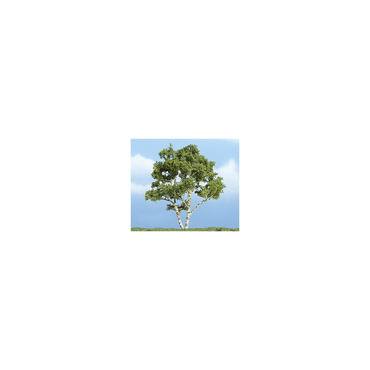 Ready Made Premium Trees(TM) - Deciduous -- Birch - 3-7/8′ 9.8cm, All Scales, Woodland Scenics 1601