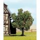 Trees Fruit -- Apple w/Fruit 3′, All Scales, Noch Gmbh & Co 21560