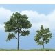 Ready Made Premium Trees(TM) - Deciduous -- Locust - 1 Each 1-3/4 & 2-3/4′ 4.4 & 7cm, All Scales, Woodland Scenics 1607