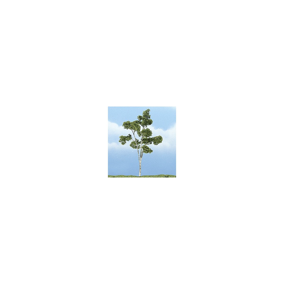 Ready Made Premium Trees(TM) - Deciduous -- Paper Birch - 4-1/2′ 11.4cm, All Scales, Woodland Scenics 1616