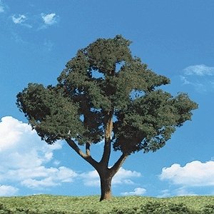 Woodland Classic Trees(R) Ready Made - Cool Shade -- 2 to 3′ 5.1 to 7.6cm Tall pkg(4), All Scales, Woodland Scenics 3505