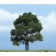 Ready Made Premium Trees(TM) - Deciduous -- Oak - 3-1/8′ 7.9cm, All Scales, Woodland Scenics 1606