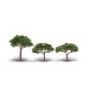 Coniferous Canopy Trees - Woodland Classics(R) -- 2-5/16 to 3-5/16′ 5.8 to 8.4cm Tall p, All Scales, Woodland Scenics 3555