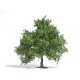 Spring Oak-Fruit Tree - Exclusive -- 3-3/4′ 9.5cm Tall, HO, Busch Gmbh & Co Kg 3661