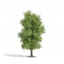 Spring Deciduous Tree - Exclusive -- 4-1/2′ 11.5cm Tall, HO, Busch Gmbh & Co Kg 3721