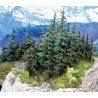 Lodgepole Pine Trees -- 10 to 12′ 25.4 to 27.9cm pkg(2), All Scales, Grand Central Scenery T38