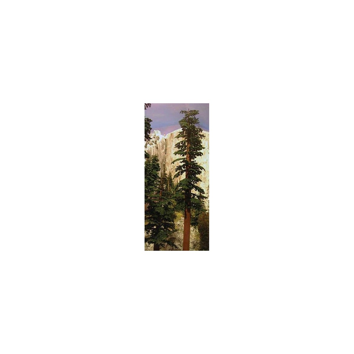 Redwood Trees -- 6 to 9′ 15.2 to 22.9cm pkg(2), All Scales, Grand Central Scenery T42