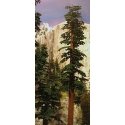 Redwood Trees -- 6 to 9′ 15.2 to 22.9cm pkg(2), All Scales, Grand Central Scenery T42