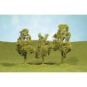 SceneScapes(TM) Layout-Ready Trees -- Sycamore Trees 8′ pkg(2), O, Bachmann Industries 32209
