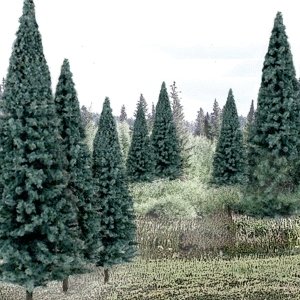 Blue Spruce Tree Value Pack - Ready Made Trees(TM) -- 4 to 6′ 10.2 to 15.2cm pkg(13), All Scales, Woodland Scenics 1588