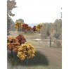 Fall Colors Deciduous Tree Pack - Ready Made Trees(TM) -- 2 to 3′ 5.1 to 7.6cm pkg(23), All Scales, Woodland Scenics 1576