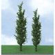 Poplar Trees - Pro Elite -- 2-3/4 - 3-1/2′ 5.7 - 8.9cm pkg(3), N, JTT Miniature Tree 92218