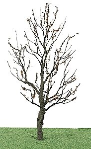 Tree w/Dry Foliage (Late Fall) -- 6′ 15.2cm, O, JTT Miniature Tree 92419
