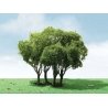 Privet Trees -- 1-3/4 - 2′ 4.4 - 5.1cm Tall pkg(3), All Scales, JTT Miniature Tree 92203