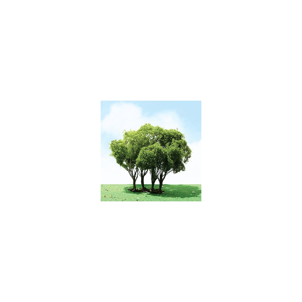 Pro-Elite Series Tree -- Privet 3 to 3-1/2′ 7.6 to 8.9cm Tall pkg(1), HO, JTT Miniature Tree 92303