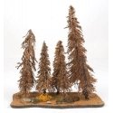 Spruce Trees -- 7 Trees 3 - 9′ 7.6cm - 22.9cm Tall, All Scales, Grand Central Scenery AST1