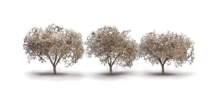 Blossoming Cherry Trees - Woodland Classics(R) -- 1-3/4 to 2-1/4′ 4-7/16 to 5.7cm Tall , All Scales, Woodland Scenics 3594
