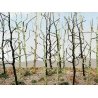 Woods Edge Trees -- Bare pkg(14), HO, Bachmann Industries 32509