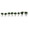 Deciduous Trees - Realistic Trees -- Medium Green 3/4 to 1-1/4′ 1.9 to 3.2cm pkg(8), All Scales, Woodland Scenics 1501
