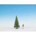 Fir Tree -- 9-13/16′ 25cm Tall, All Scales, Noch Gmbh & Co 68036