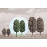 Deciduous Trees -- 3-15/16′ 10cm Tall pkg(2), All Scales, Busch Gmbh & Co Kg 6053