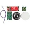 WDK-ATL-4 WOWKit Complete Sound Conversion Kit -- Fits Atlas FM H24-66 Train Master 1B, HO, Train Control Systems 1752