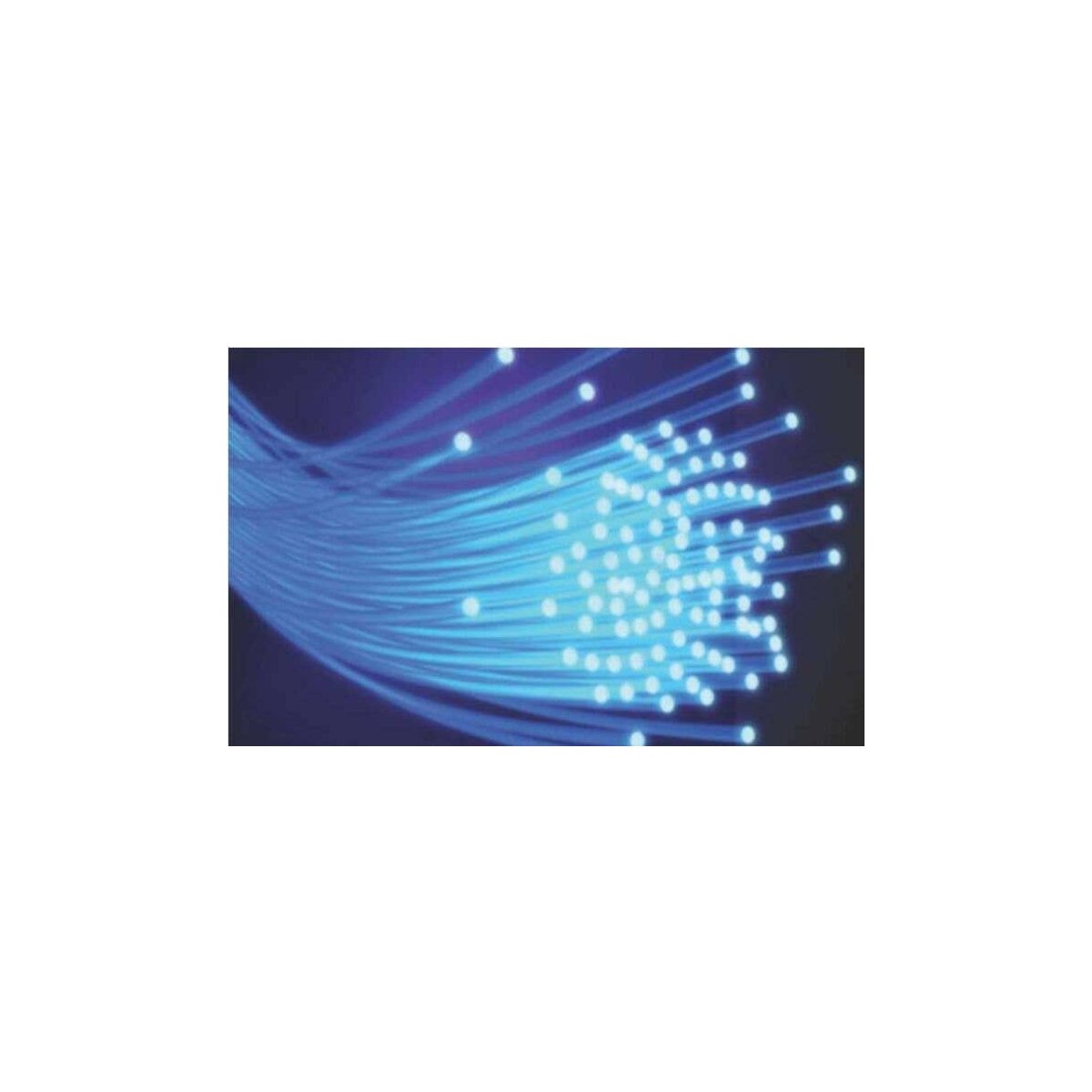 DVFC2.0/30 End-Glow Fiber Optic Cable -- 30 Feet, 2.0mm, All Scales, Dwarvin FC2030