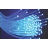 DVFC2.0/30 End-Glow Fiber Optic Cable -- 30 Feet, 2.0mm, All Scales, Dwarvin FC2030