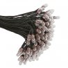 Grain-Of-Wheat Bulb -- 3V w/8′ Black Wire, All Scales, Cir-Kit Concepts Inc 10101822
