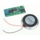Little Sounds Module with 19/32 x 15/16′ 15 x 24mm Speaker -- Grade Crossing Sounds, All Scales, Ngineering N8301012