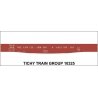 Railroad Decal Set -- Wellsville, Addison & Galeton 52′ Steel Gondola with Fishbelly Sill, HO, Tichy Train Group 10325